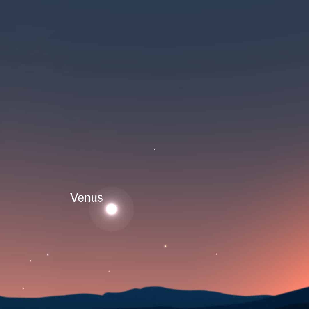 October 25th - Mercury & Venus at Their Best
